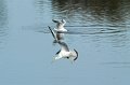 30.9.2012 Saline di Priolo (289)